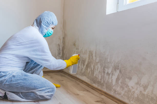 Licensed Crawl Space Mold Removal service in West Chester, PA - WQB Mold Removal