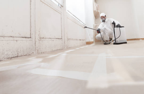 24/7 Emergency Crawl Space Mold Removal experts in West Chester, PA