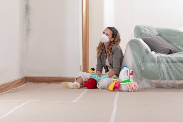 Reliable Crawl Space Mold Removal contractor in West Chester, PA by WQB Mold Removal